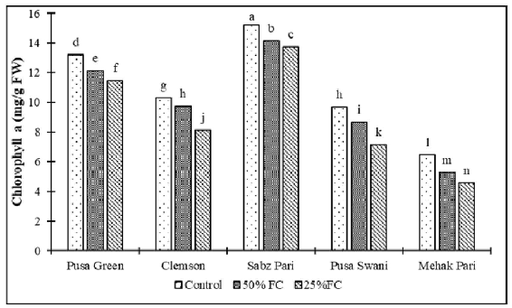 Effect of drought stress on Chlorophyll a content of okra cultivars