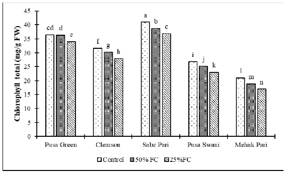 Effect of drought stress on total Chlorophyll content of okra cultivars