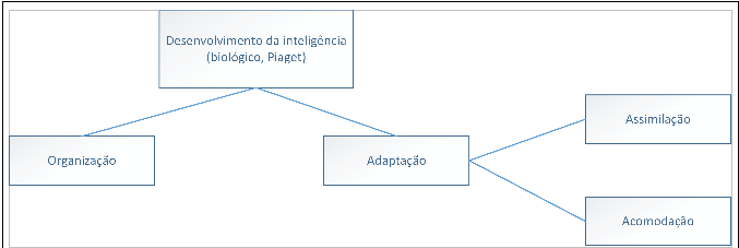   Desenvolvimento
da inteligência, segundo Piaget.


