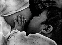 Tina Modotti. Ni&ntilde;a amamant&aacute;ndose [Beb&ecirc; se amamentando], M&eacute;xico, c. 1926-1927.