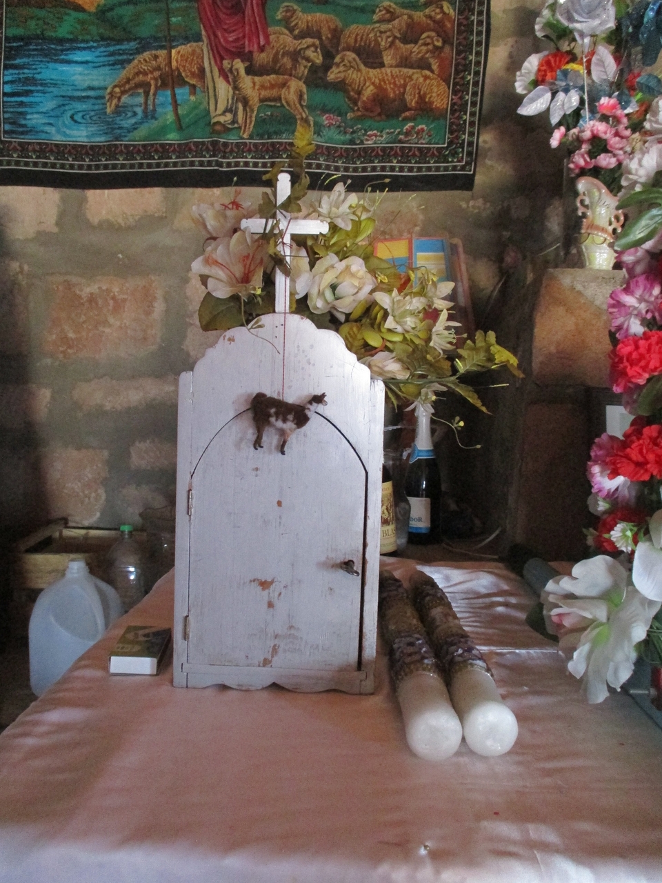 El pequeño llamo y la botella de Champagne. Fotografía de Carolina Odone.
