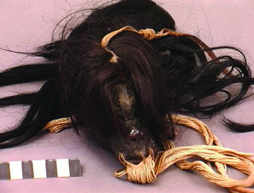 Figura 9.