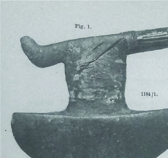 Figura 7