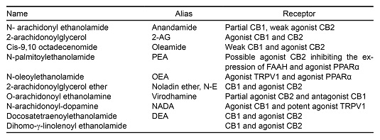 Endocannabinoids and their receptors