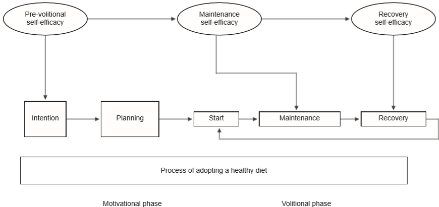 Process of adopting a healthy diet. Adapted from Schwarzer & Gutiérrez-Doña (2009) p. 16.