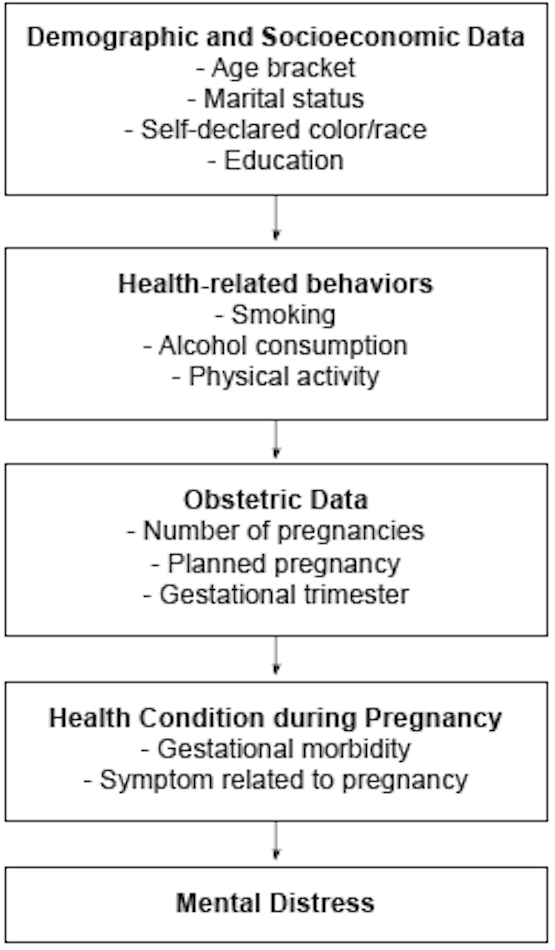 Hierarchical model of multivariable analysis of the association&nbsp;between mental distress and variables in pregnant women during&nbsp;prenatal care at health units in colombo (PR). 2018-2019