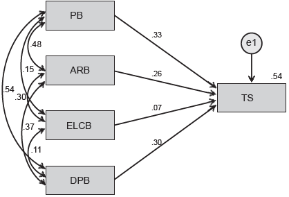 Explanatory model of suicide orientation due to irrational beliefs.