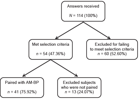 Diagram of adolescent mothers recruited during the pandemic (AM-DP) who answered the online survey.