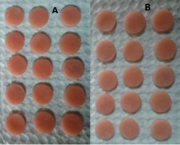 Especmenes de prueba de 6 mm de dimetro y 2 mm de espesor: a) Veracryl de New Stetic y b) Triplex Hot de Ivoclar Vivadent