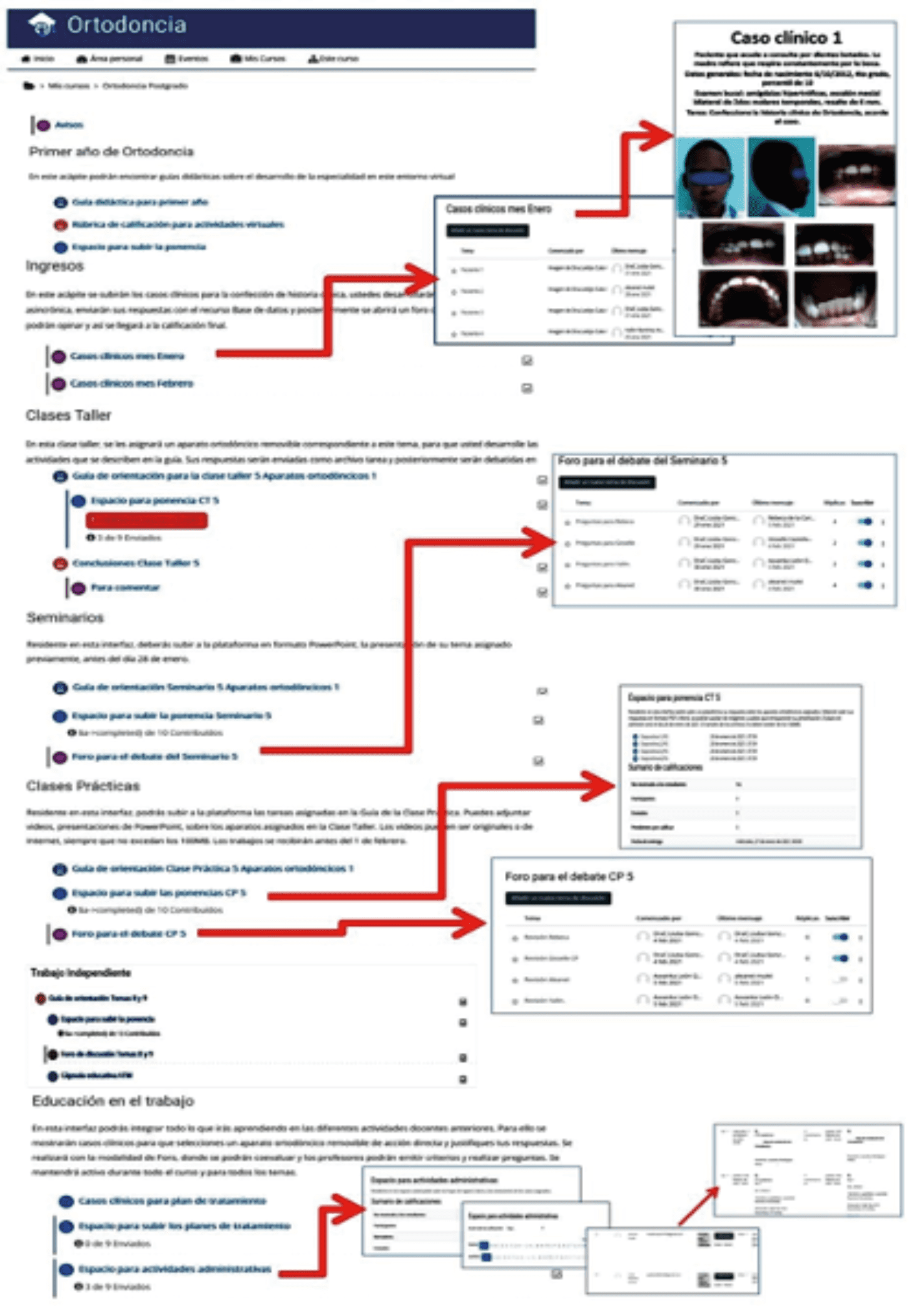 Actividades virtuales para el primer ao en la especialidad de Ortodoncia
