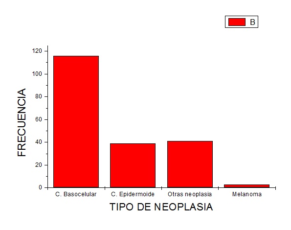 C&aacute;ncer de Piel seg&uacute;n su tipo de neoplasia, seg&uacute;n g&eacute;nero masculino en el a&ntilde;o 2015