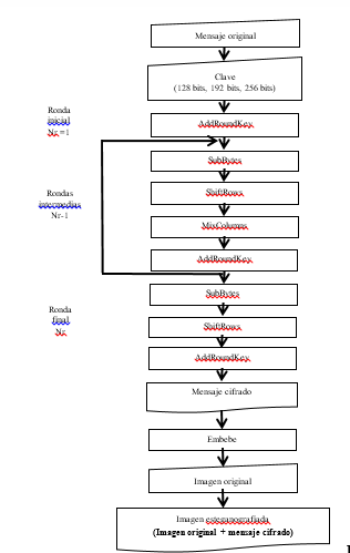 Proceso de cifrado y embebido P. I