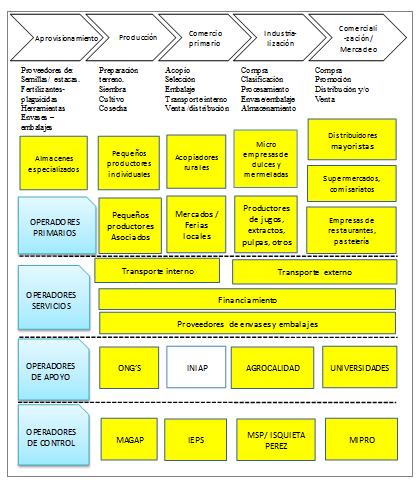Cadena gen&eacute;rica de la mora (funciones espec&iacute;ficas).