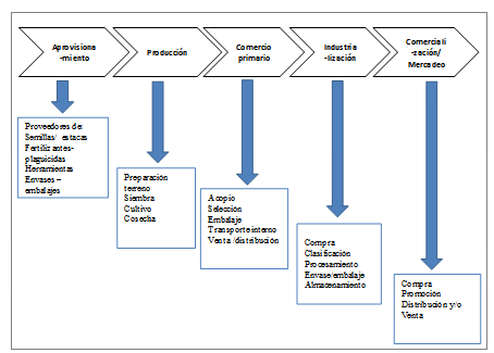 Cadena gen&eacute;rica de la mora.