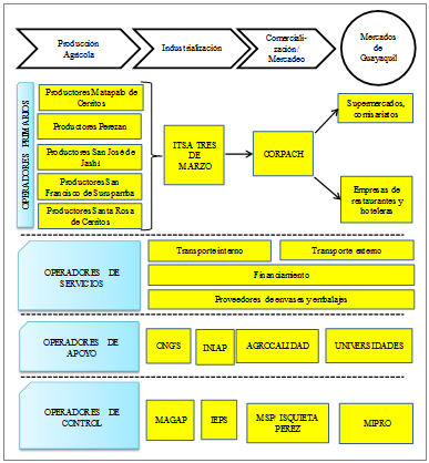 Cadena de Producci&oacute;n de la pulpa de mora.