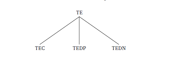 Representación gráfica de la red teórica de TE . 
