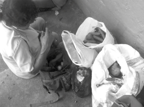 Doña Carmen organiza los alimentos recogidos