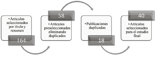 Esquema del proceso de revisi&oacute;n y selecci&oacute;n de las publicaciones