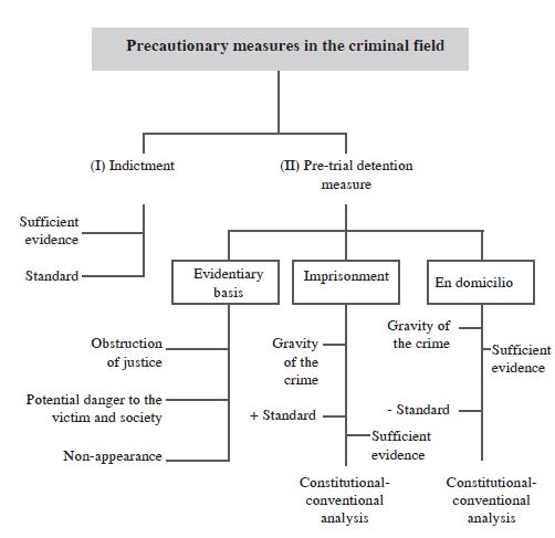 Objective and subjective assumptions for pre-trial detention.
