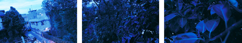 Yuan Goang-Ming, Disappearing Landscape II - Early-morning, 2011, tres canales de video, 9&rsquo;14 (cortes�a de Tina Keng Gallery).