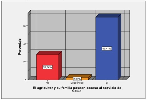 Gr&aacute;fico N.&deg;4: Acceso al servicio de salud