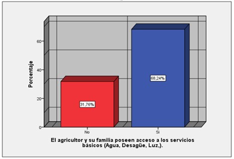 Gr&aacute;fico N.&deg; 02: Acceso a los servicios b&aacute;sicos (Agua, Desag&uuml;e, Luz)