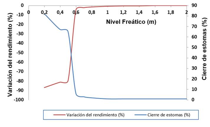 del rendimiento y cierre de estomas simulados con el modelo AquaCrop bajo diferentes profundidades del nivel freático.