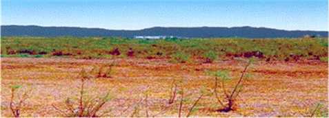 Parcela con suelo salino abandonada por 15 años, lote 17 del DR076.