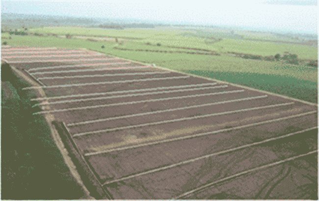 Diseño de un sistema de drenaje subterráneo controlado en Los Naranjos, Veracruz.