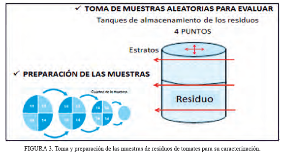 Toma y preparación de las muestras de residuos de tomates para su caracterización.