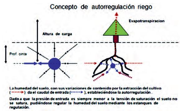 Esquema de funcionamiento de la interacción potencial de agua en el suelo - tubería porosa (tomado de Zaldivar (2020).