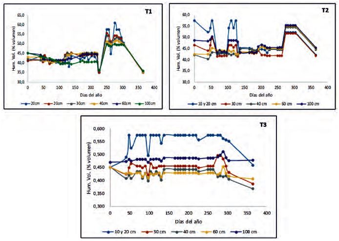Comportamiento de la humedad por capas del perfil de suelo, en las plantaciones de C. odorata L. evaluadas: T1- secano, T2- plantaci&oacute;n pura bajo riego; T3- plantaci&oacute;n intercalada bajo riego.