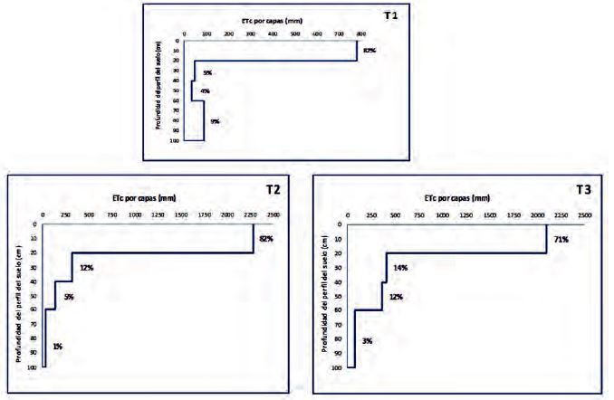 Comportamiento de los aportes por capas del perfil de suelo a la evapotranspiraci&oacute;n total de las plantaciones de C. odorata L. evaluadas: T1- secano, T2 - plantaci&oacute;n pura bajo riego; T3- plantaci&oacute;n intercalada bajo riego.