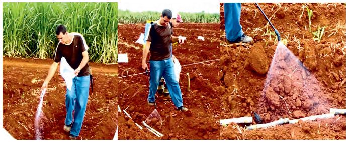 Aplicaci&oacute;n de los productos en el fondo del surco.