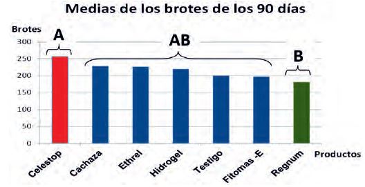 Formaci&oacute;n de grupos homog&eacute;neos seg&uacute;n la Prueba de M&uacute;ltiples rangos de Tukey (95%) para las medias de los brotes de los 90 d&iacute;as.