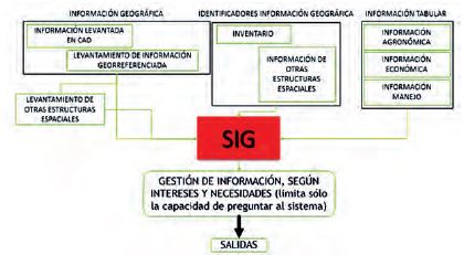 Conceptualizaci&oacute;n del flujo general de informaci&oacute;n