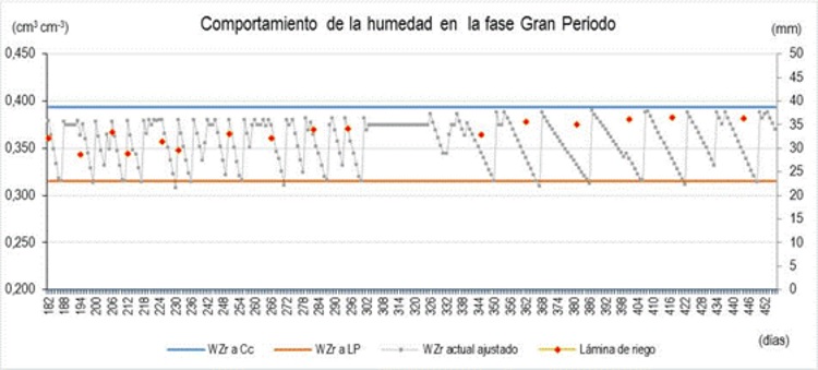 Comportamiento de la humedad y l&aacute;mina de agua almacenada en la zona radical efectiva considerando el riego programado en la fase de gran periodo.