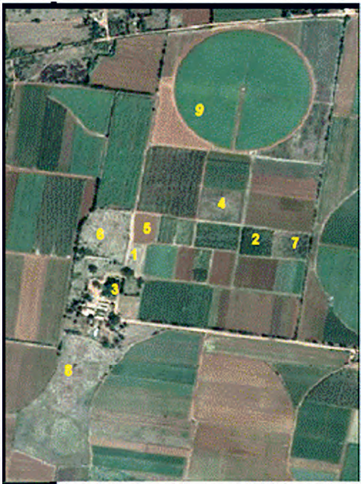 Vista general del área de la Estación Experimental del IAgric, los puntos numerados corresponden a los sitios en que se realizaron las determinaciones de la infiltración.