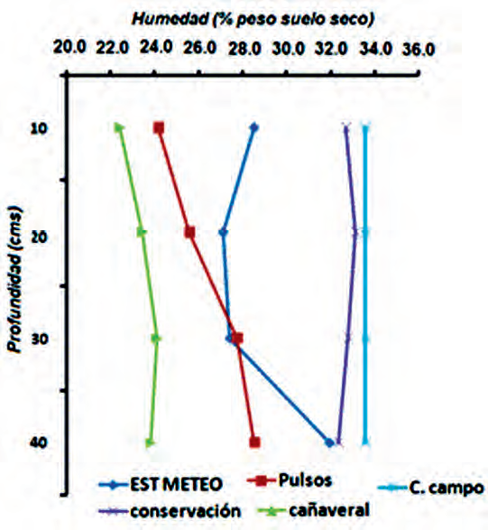 Humedad del suelo (% p.s.s) antes de realizar la prueba de infiltración en algunos de los sitios estudiados.