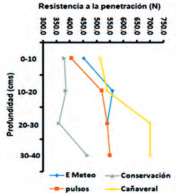 Resistencia a la penetración (Newton) en algunos de los sitios estudiados.
