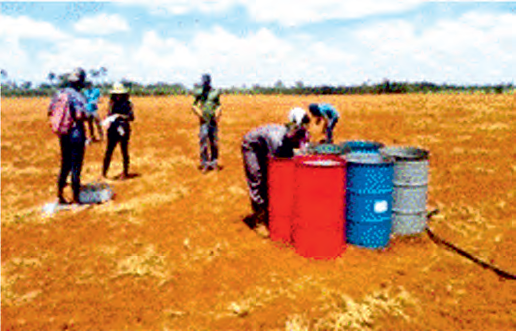 Sitio 9 (S9). Campo de papas.