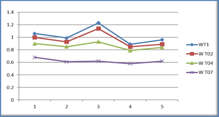 Comportamiento de la productividad por hora de trabajo.WT1: productividad por hora de tiempo limpio, WT02: Productividad por hora de tiempo operativo, WT04: Productividad por hora de tiempo productivo, WT07: Productividad por hora de tiempo de explotación.