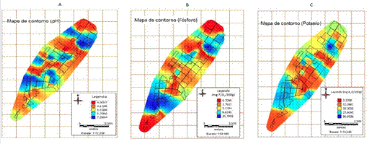 Mapas de contorno: pH (A), fósforo (B), potasio (C) en áreas de la CPA 28 de enero.