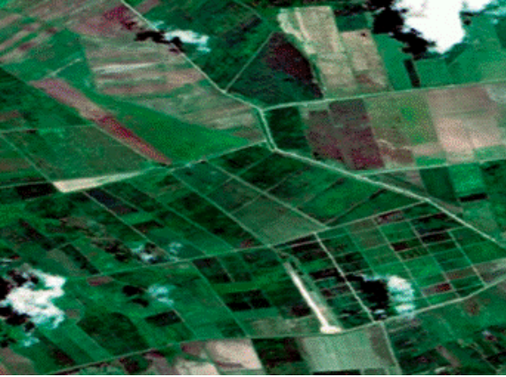 Imagen de color verdadero georreferenciada de la Unidad Empresarial de Base Antonio Maceo, tomada con el satélite Sentinel-2.