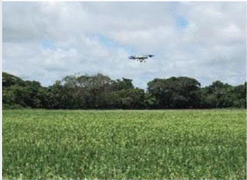 Dron sobre un campo de cultivo realizando pruebas para obtener patrones de color.