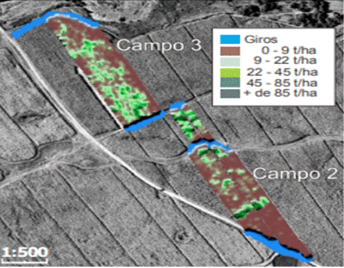 Mapa de rendimiento de los campos.