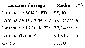 Din&aacute;mica del Adeva en funci&oacute;n al crecimiento horizontal de la ra&iacute;z y en relaci&oacute;n a las diferentes l&aacute;minas de riego aplicadas