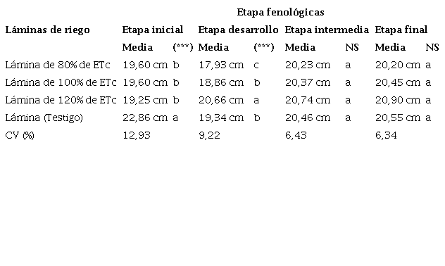 An&aacute;lisis de la varianza del di&aacute;metro del bulbo h&uacute;medo superficial en las diferentes l&aacute;minas de riego en el cultivo de tomate