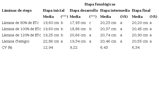 Comportamiento del Adeva en relaci&oacute;n al bulbo h&uacute;medo horizontal subterr&aacute;neo en funci&oacute;n a las diferentes l&aacute;minas de riego aplicadas