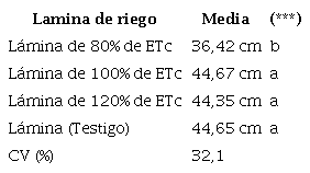Comportamiento de Tukey en la profundidad de ra&iacute;z pivotante en relaci&oacute;n a las diferentes l&aacute;minas aplicadas